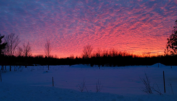 Sunset in winter